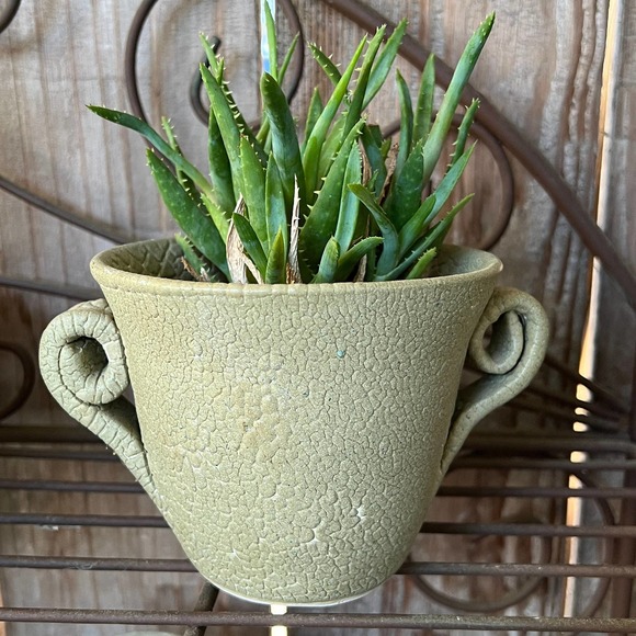Succulent or Cactus Planter in Olive Green with a Distressed Crackle Finish - Picture 4 of 11